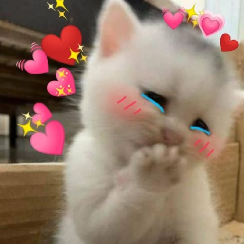 มีมสวย