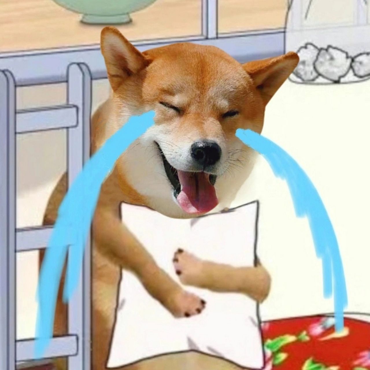 มีมเด็กร้องไห้