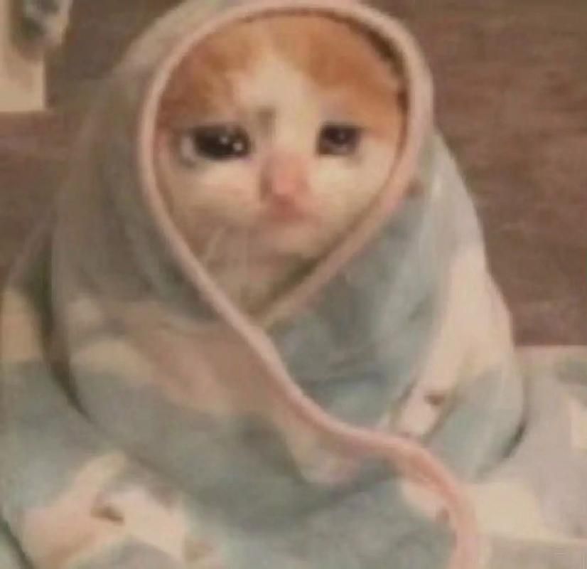 มีมเศร้าร้องไห้