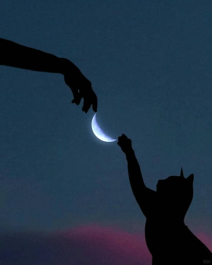 รูปถ่ายดวงจันทร์