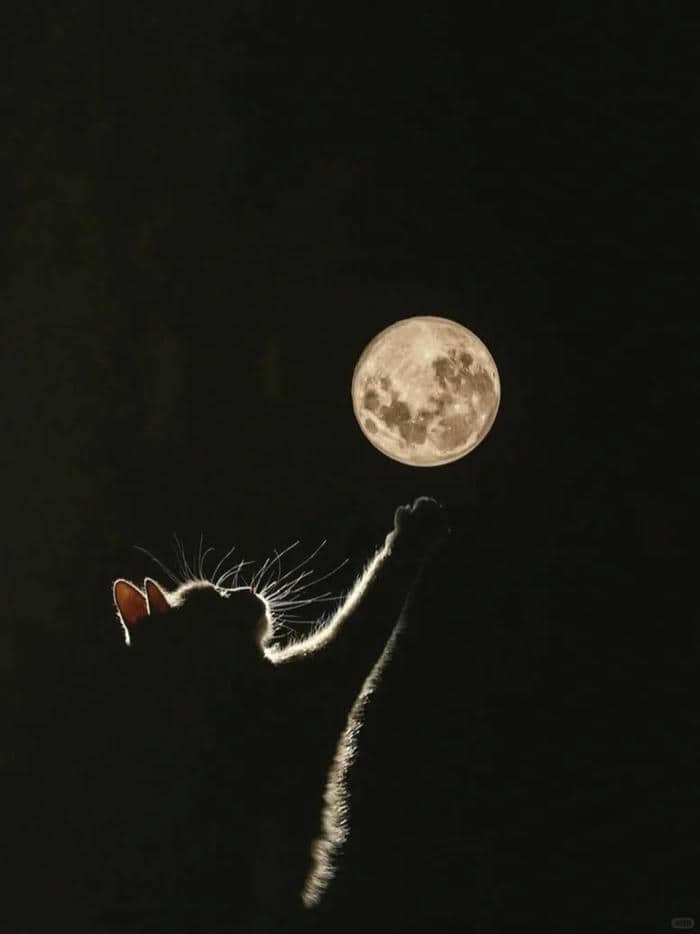 รูปถ่ายพระจันทร์-5