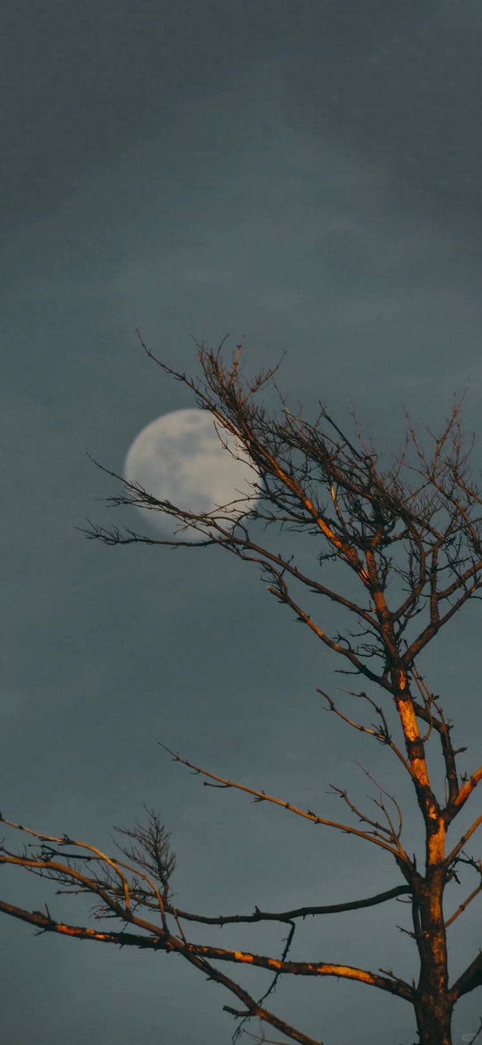 รูปถ่ายพระจันทร์