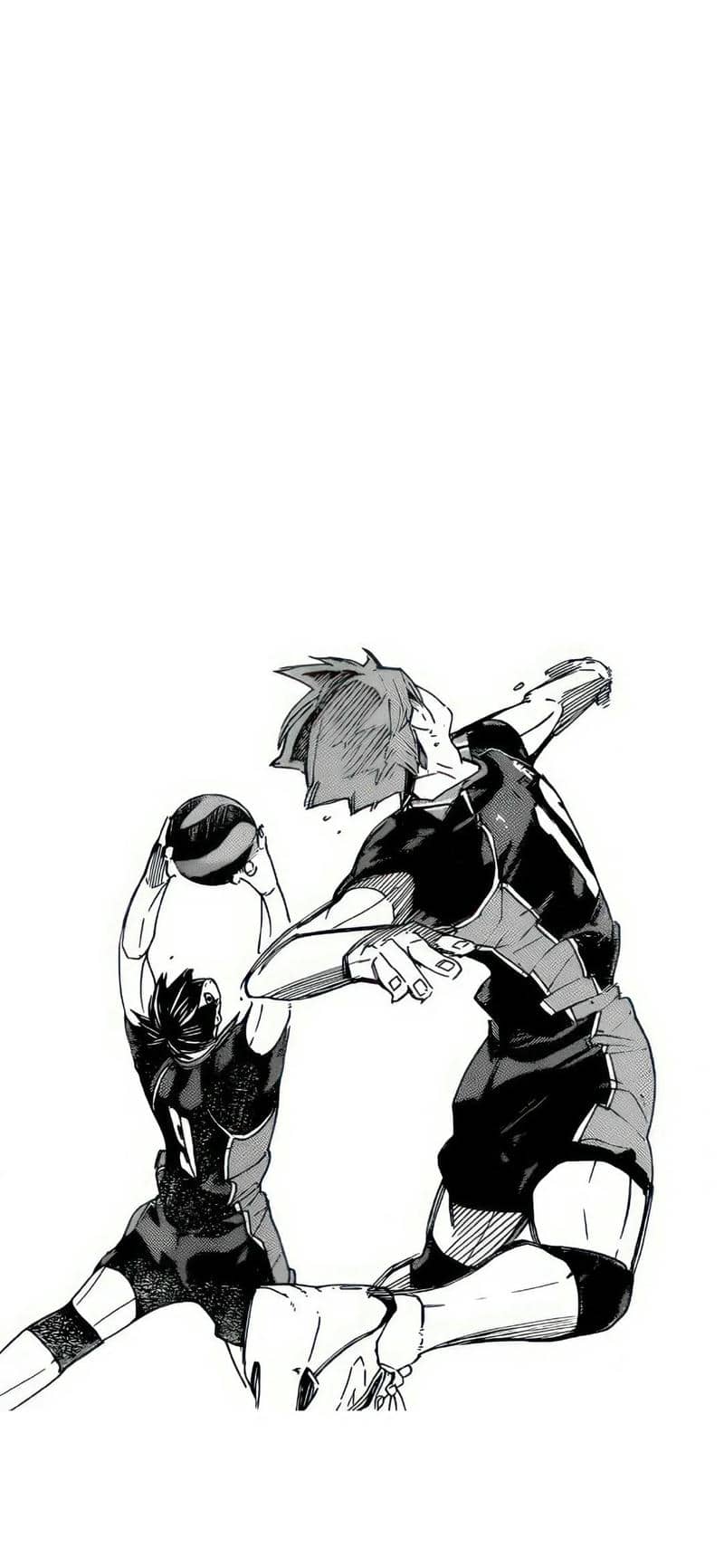 รูปภาพวอลเลย์บอล-1
