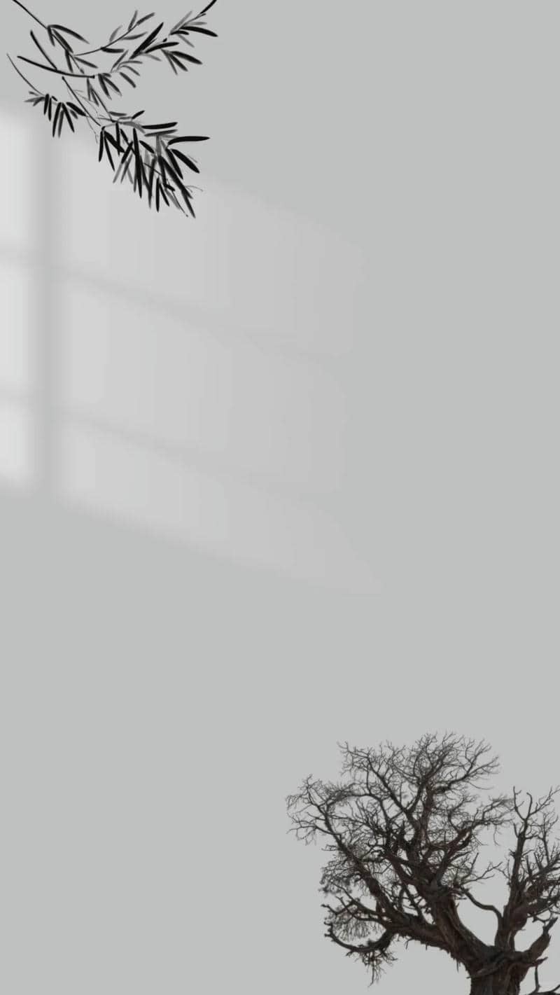 รูปภาพสีเทา-1