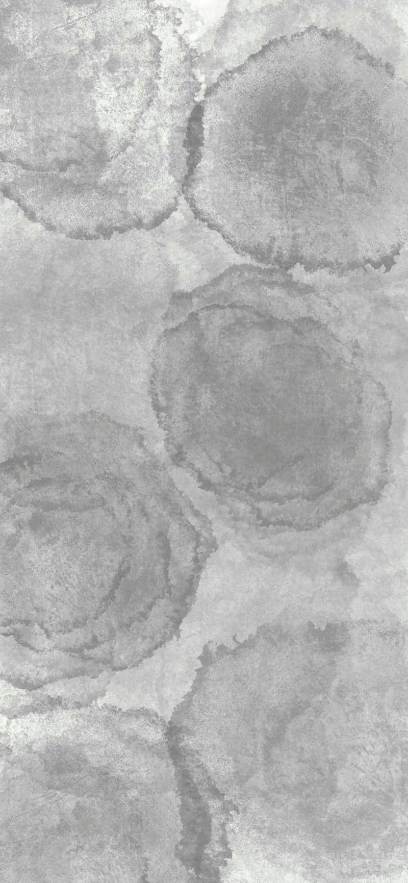 รูปภาพสีเทา