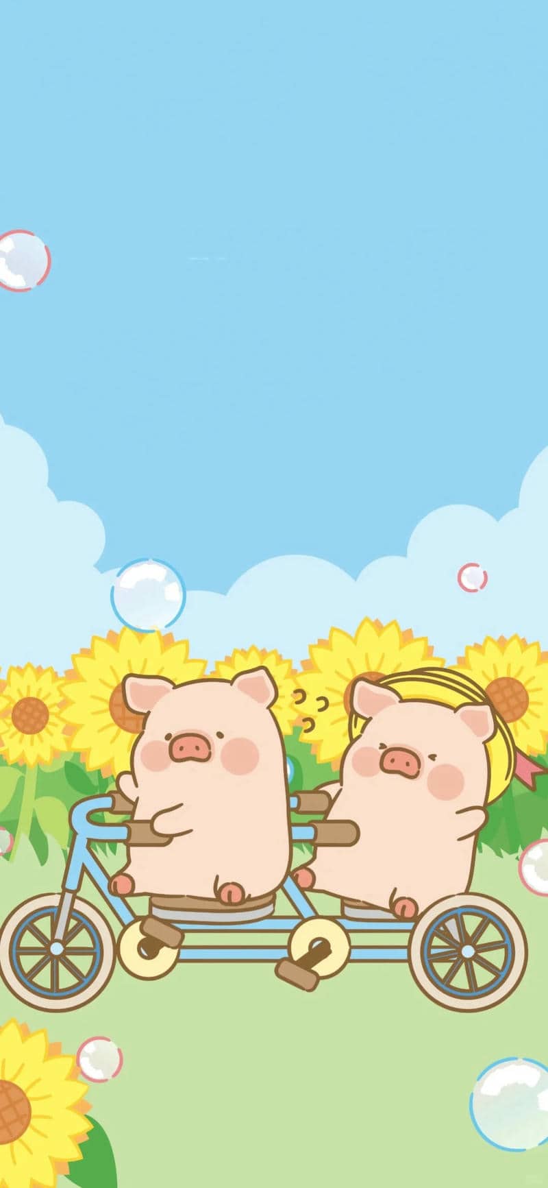 รูปภาพหมู