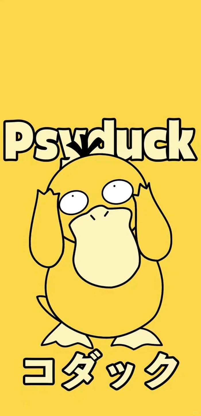 รูปภาพเป็ด-1