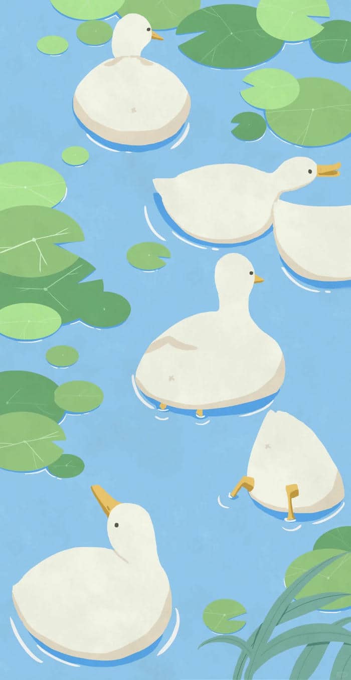 รูปภาพเป็ด-4