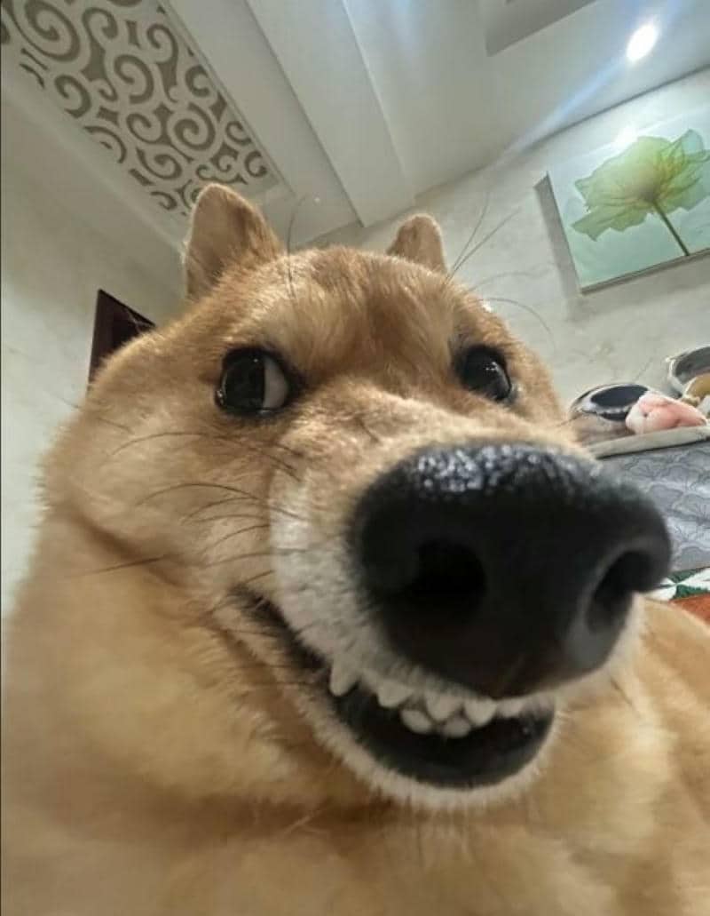 รูปมีมตลก