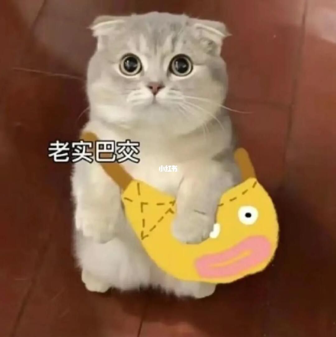 รูปมีมน่ารัก