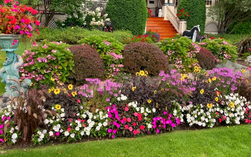 รูปสวนดอกไม้-1