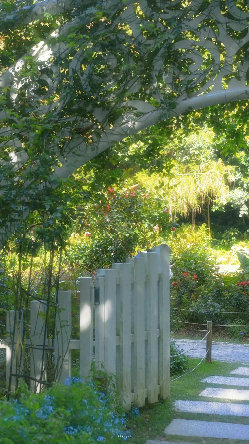 รูปสวนดอกไม้