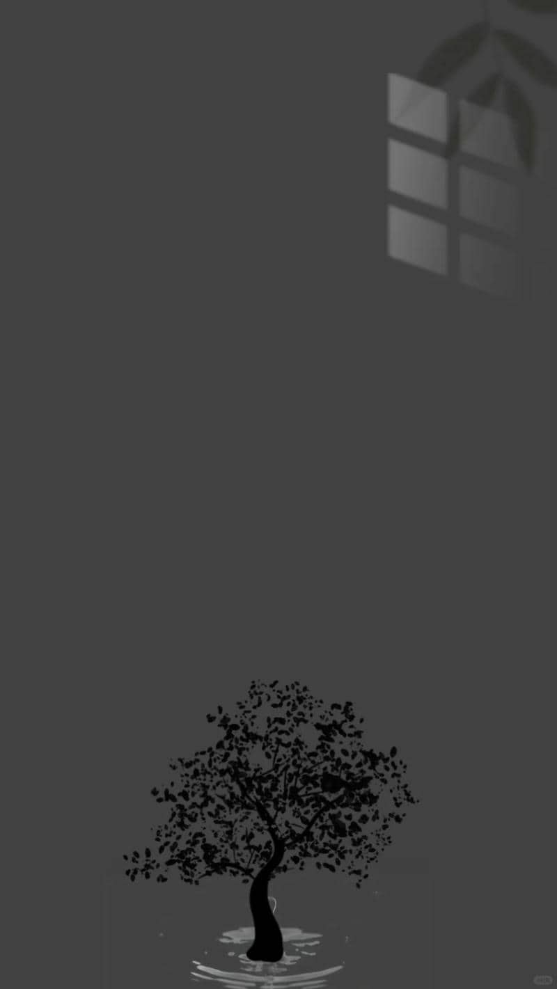 รูปสีเทา