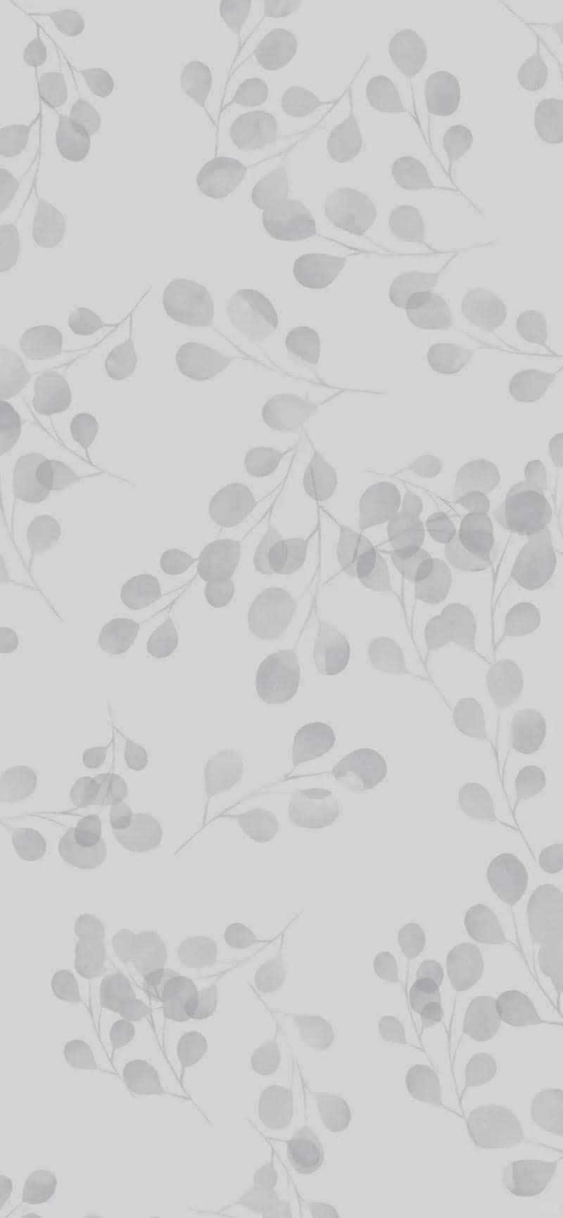 รูปสีเทาสวยๆ-1