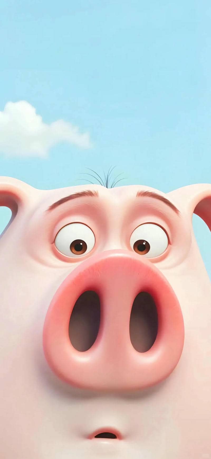 รูปหมู-1