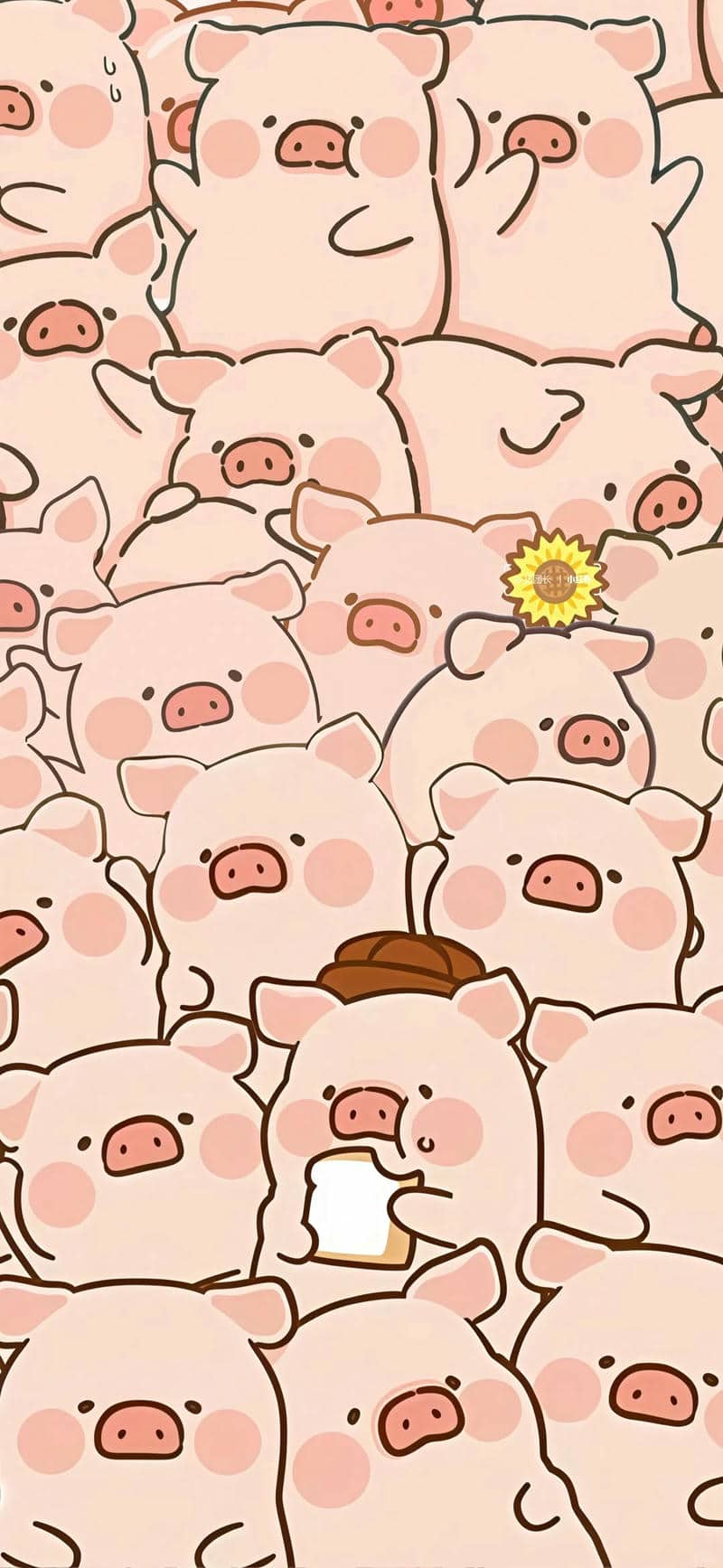 รูปหมูเท่ๆ