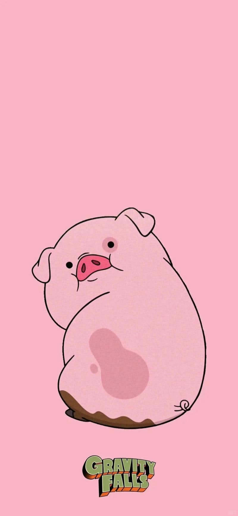 รูปหมู่