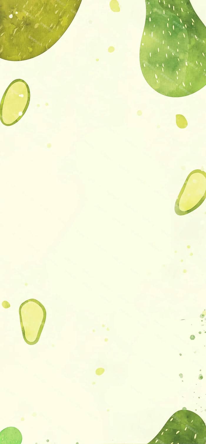 รูปอะโวคาโด-1