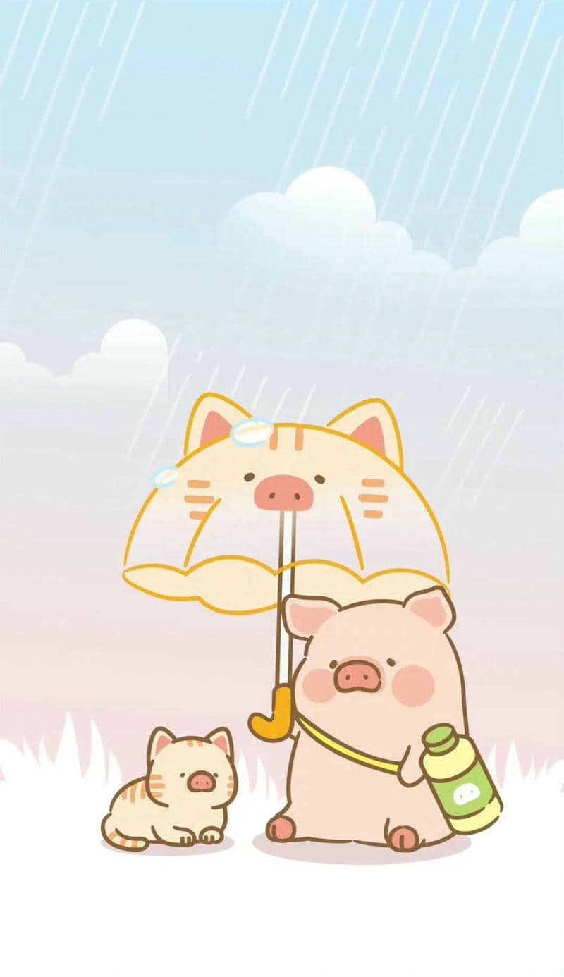 รูปเนื้อหมูสวยๆ