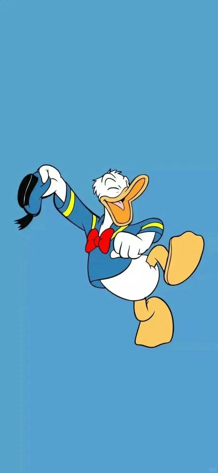 รูปเป็ด-1