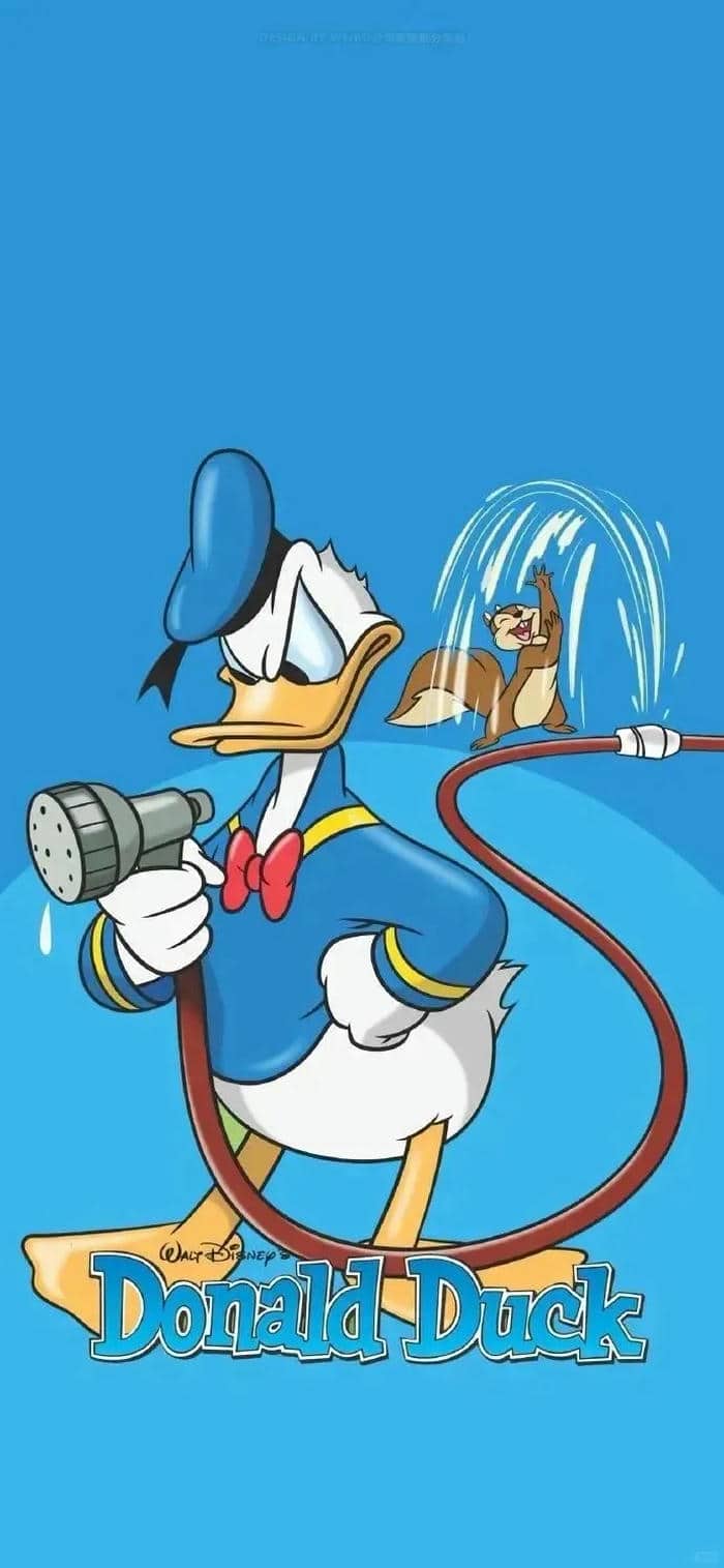 รูปเป็ด-2