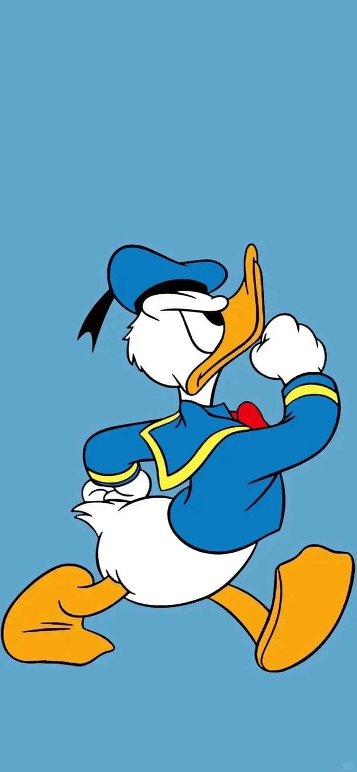 รูปเป็ด