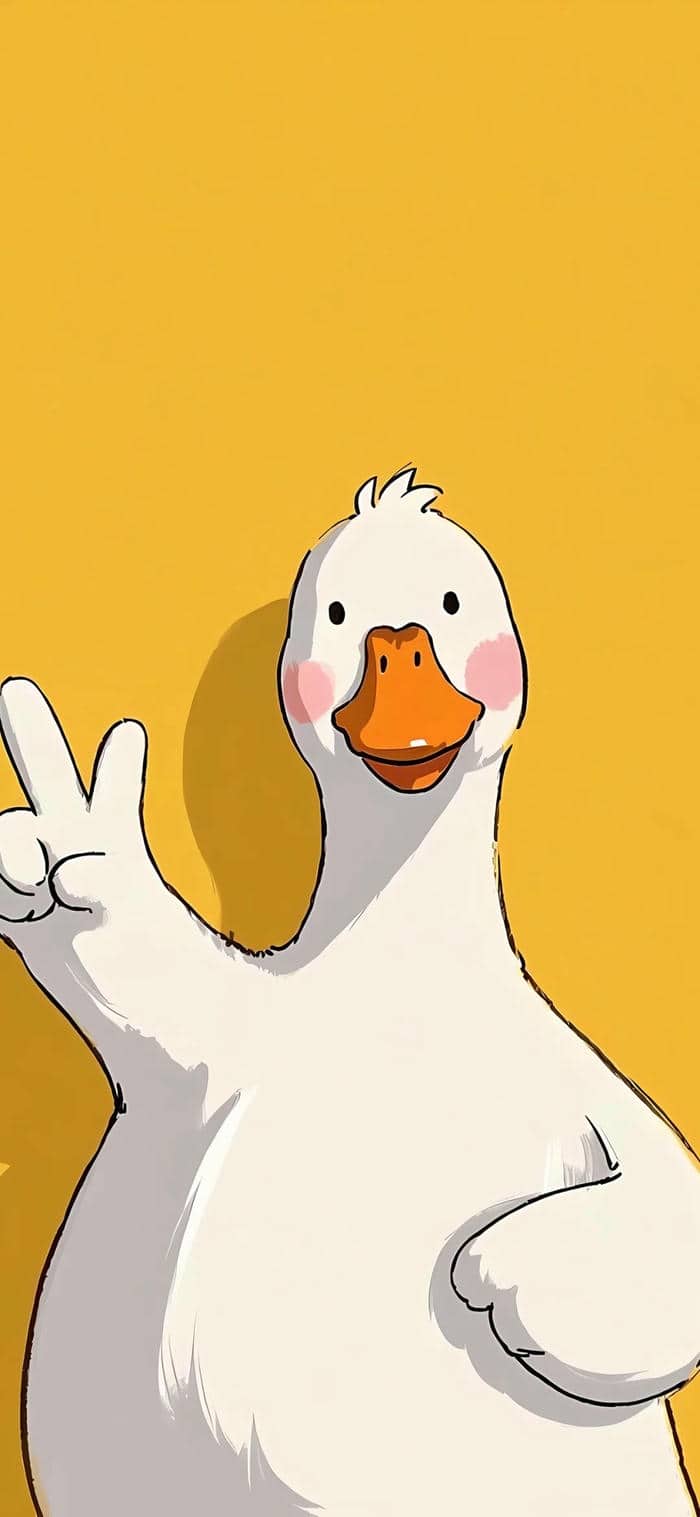 รูปเป็ดสวยๆ-1