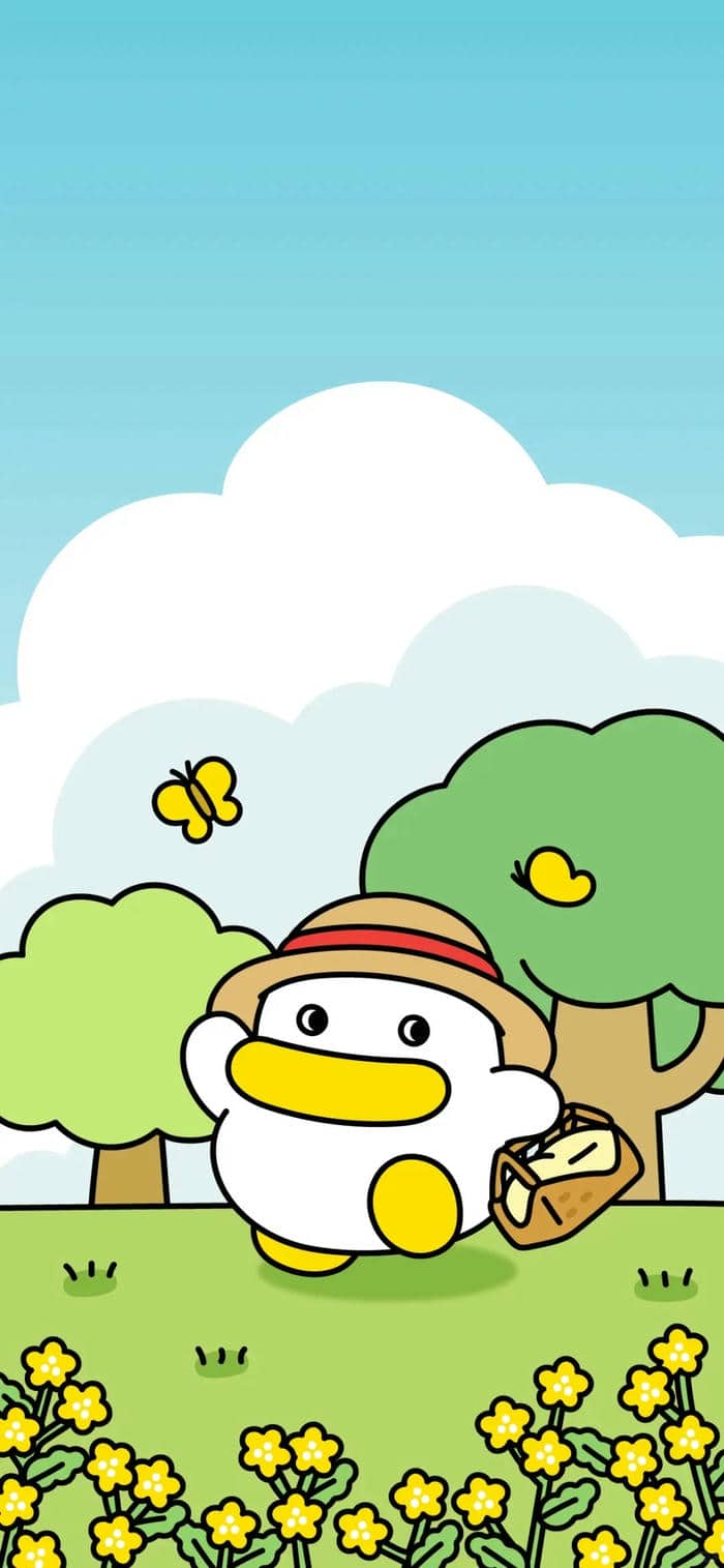 รูปเป็ด、