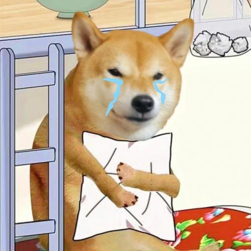 ร้องไห้ มีม