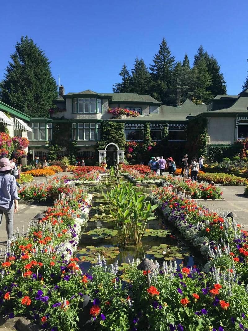 วิวสวนดอกไม้สวยๆ-1