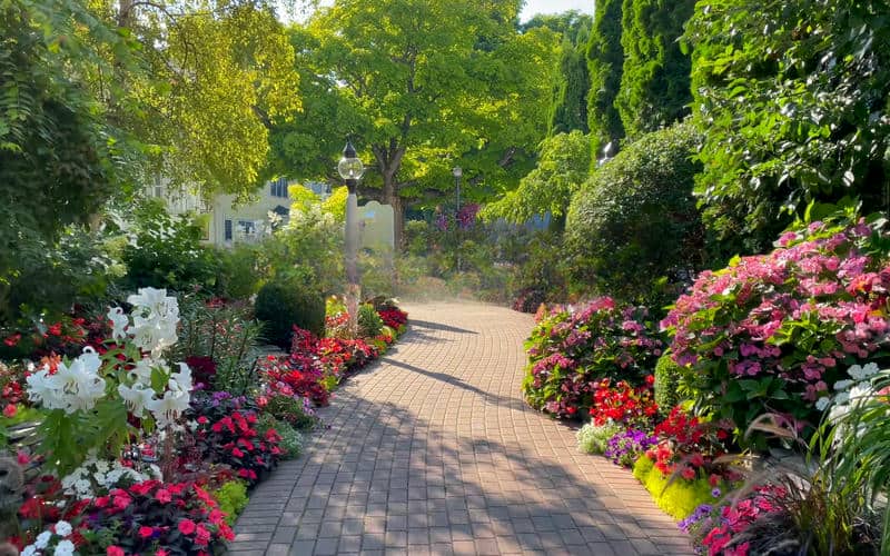 วิวสวนดอกไม้สวยๆ