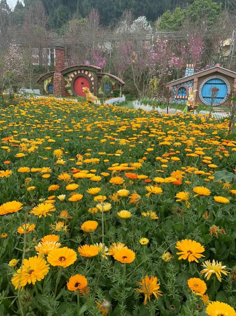 สวนดอกไม้-1