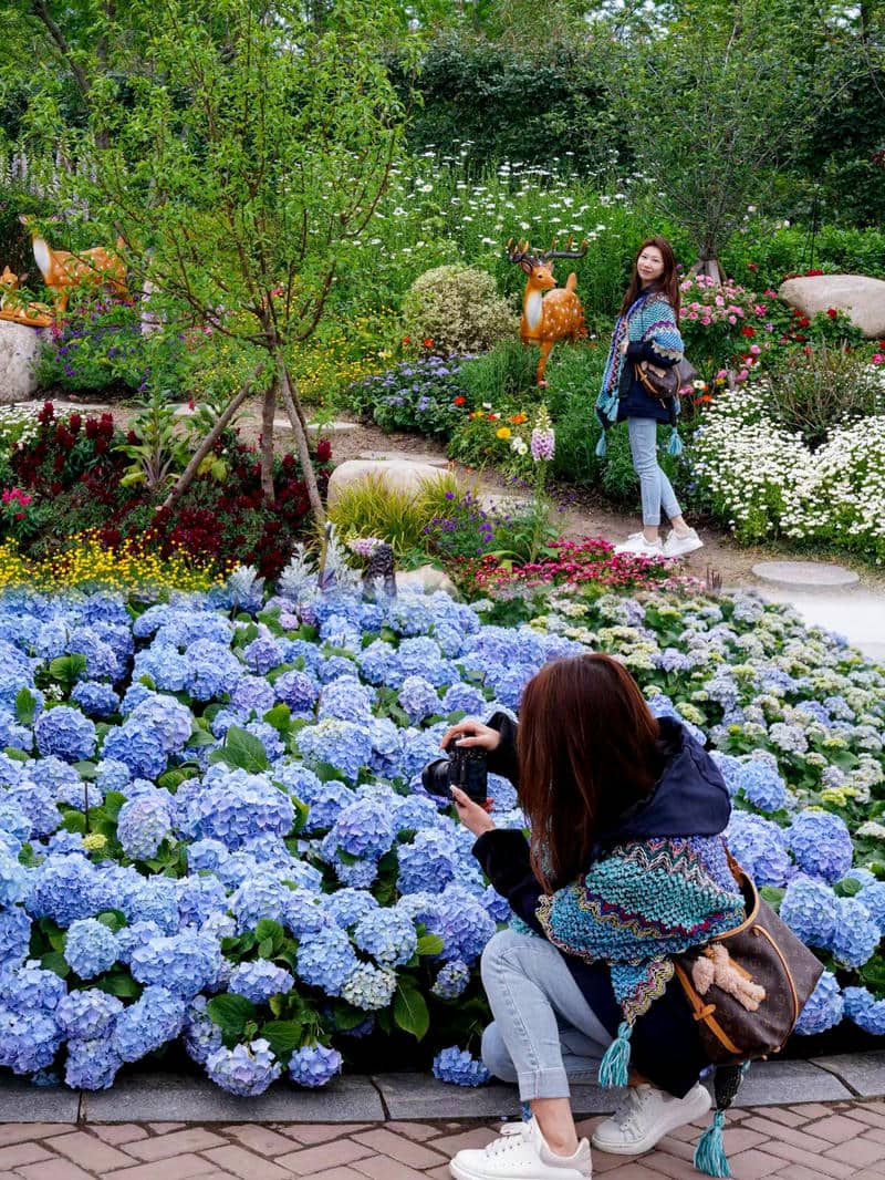 สวนไม้ดอก-1