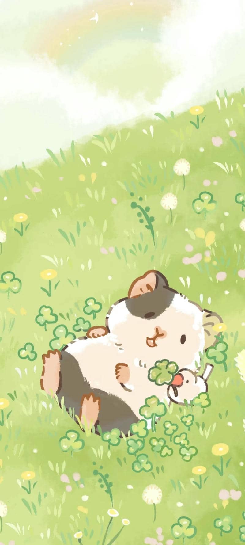 หนู แฮม เตอร์ น่า รัก ๆ-2