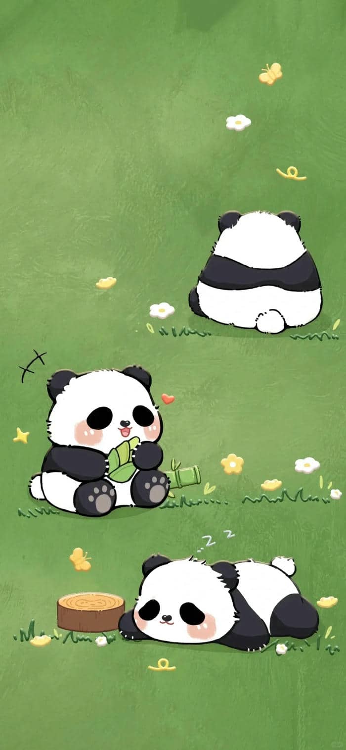 หมีแพนด้าการ์ตูนน่ารักๆ