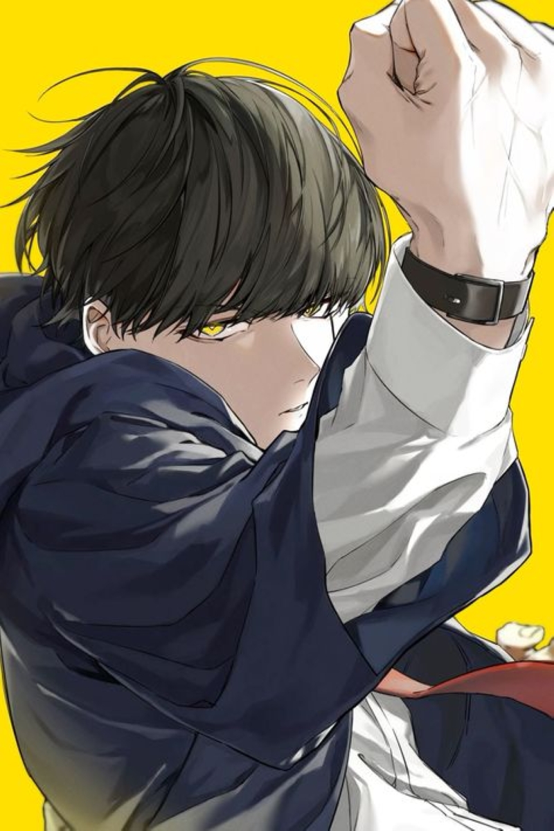 อนิเมะ mashle magic and muscles
