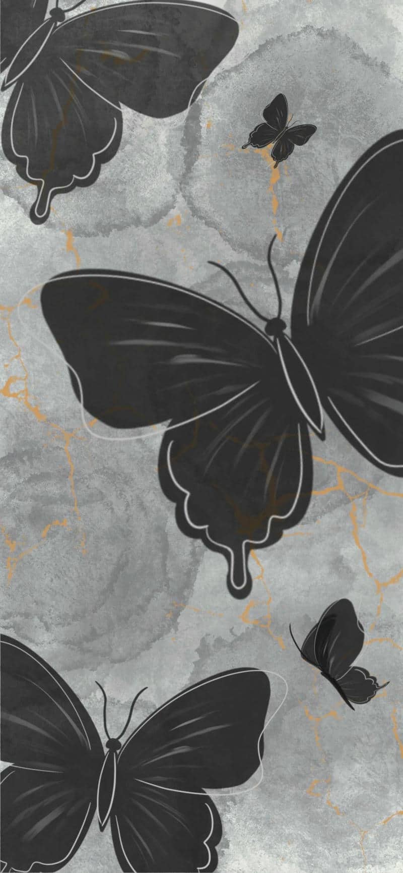 แบค กราว พื้น หลัง สีเทา-1