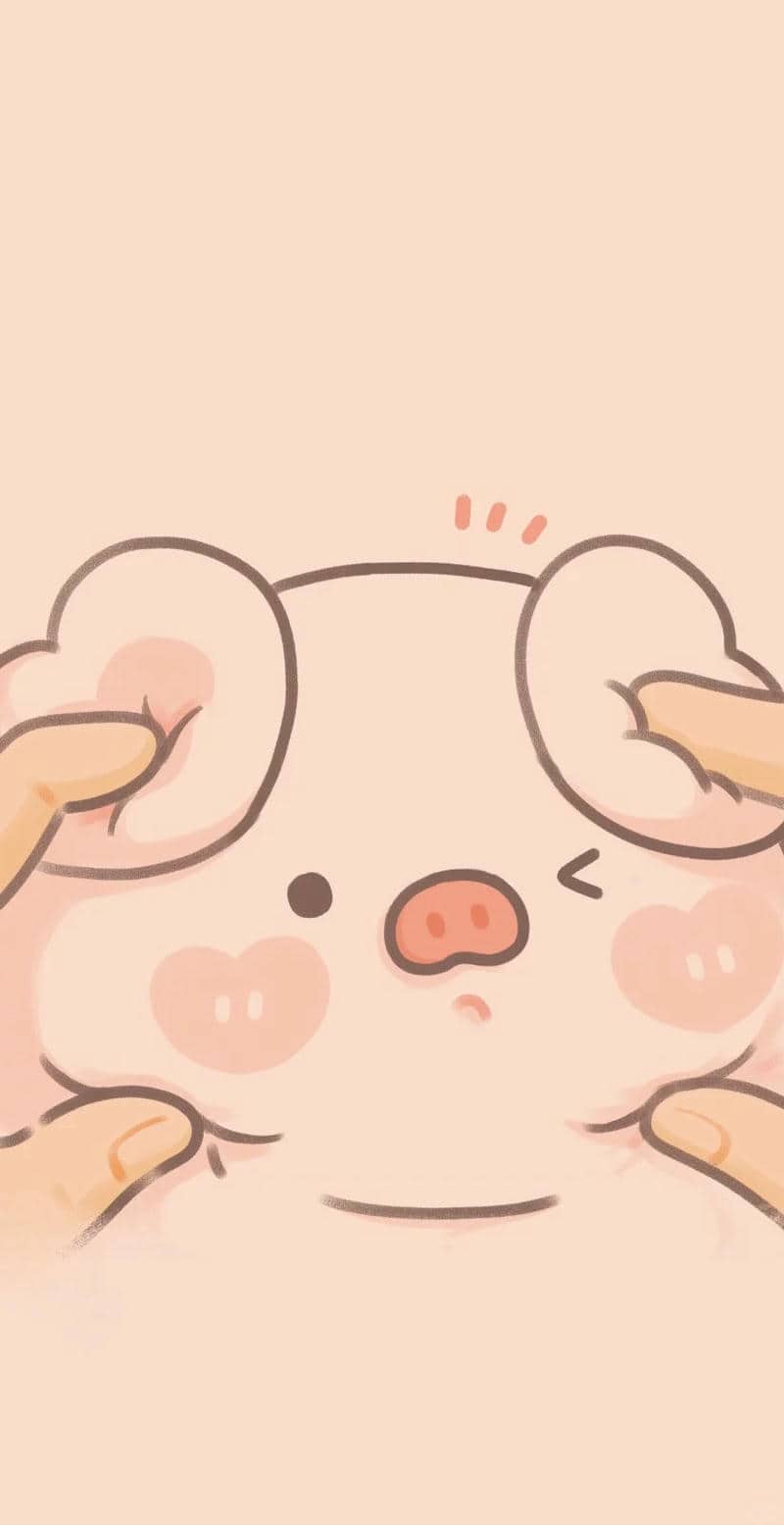 โหลดรูปหมูฟรี-1