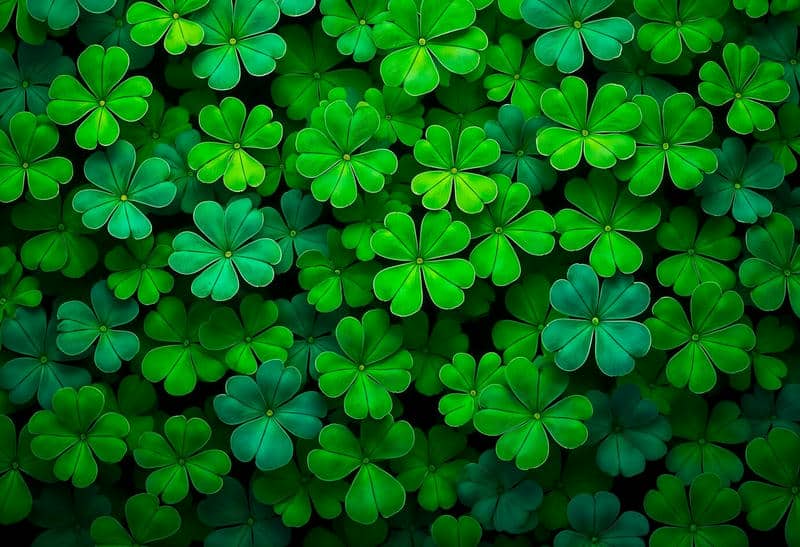 ใบไม้นำโชค-1