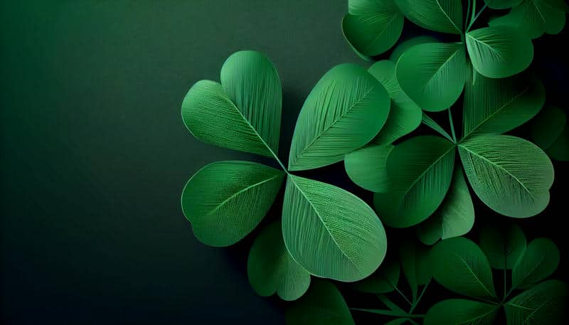 ใบไม้โชคดี-1