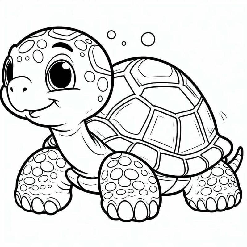 รูประบายสี เต่า-1