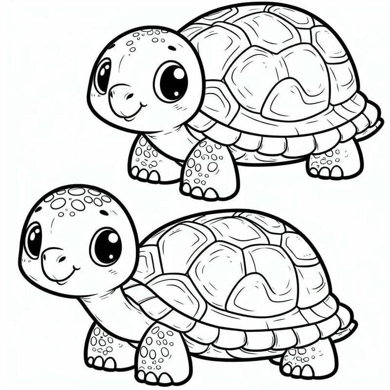 รูประบายสีเต่า