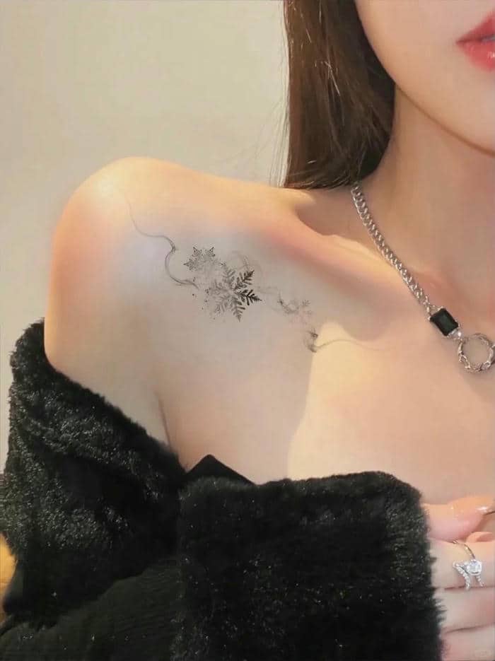 รูปเกล็ดหิมะ-5