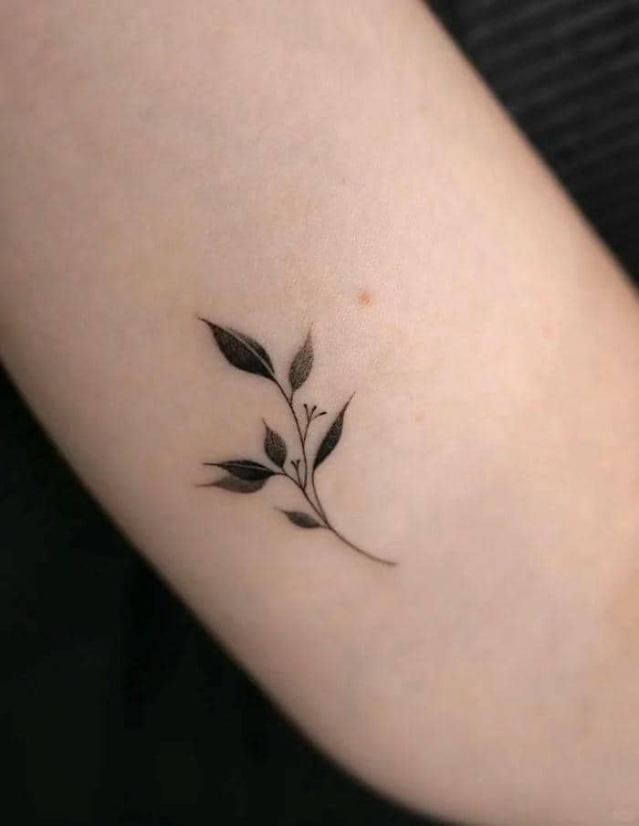 ลายสัก ใบไม้-1