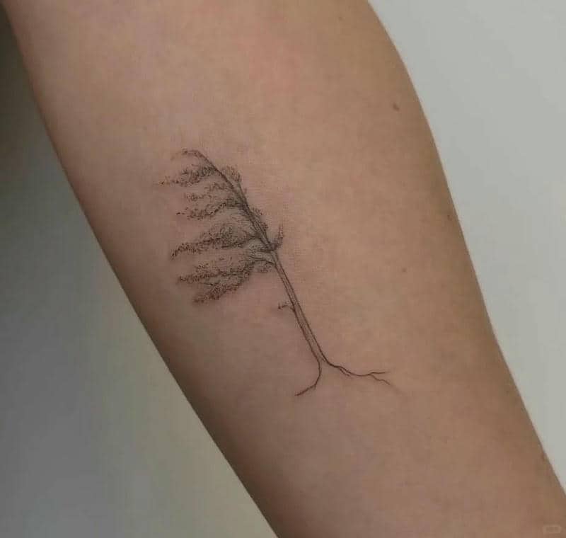 ลายสักรูปต้นไม้