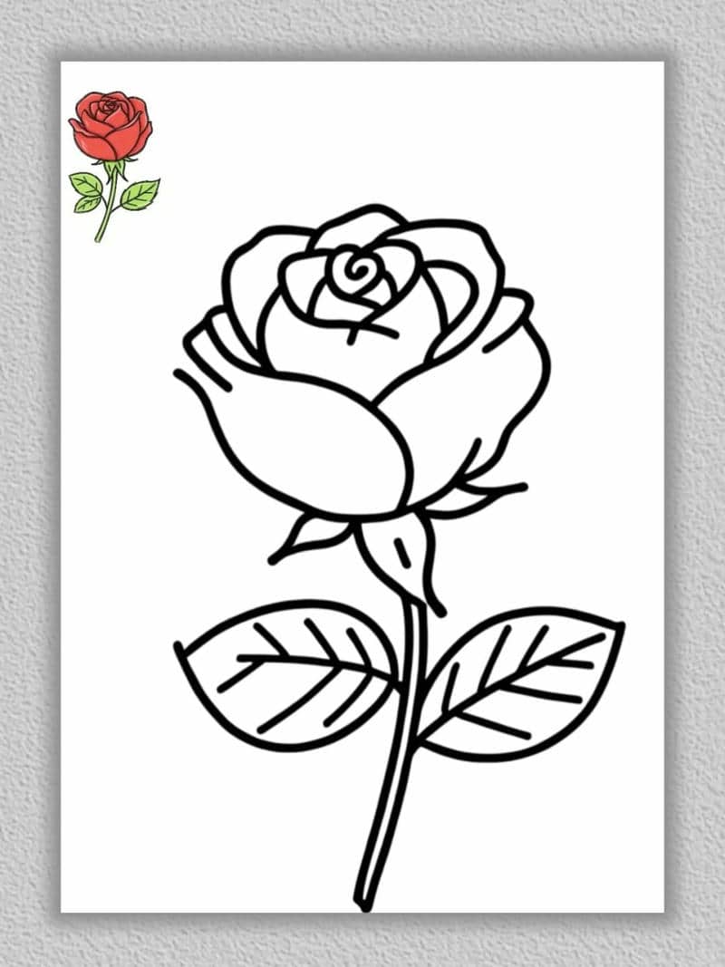 ภาพ ระบายสี ดอกไม้-1