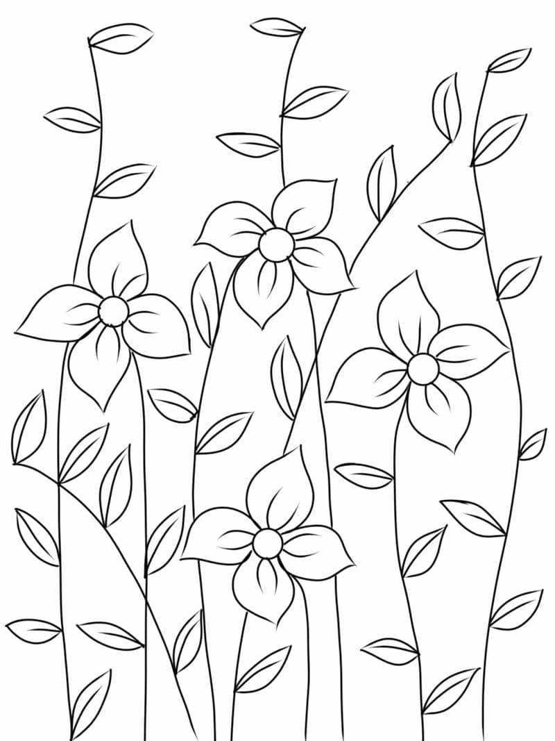 ภาพ ระบายสี ดอกไม้ อนุบาล-1