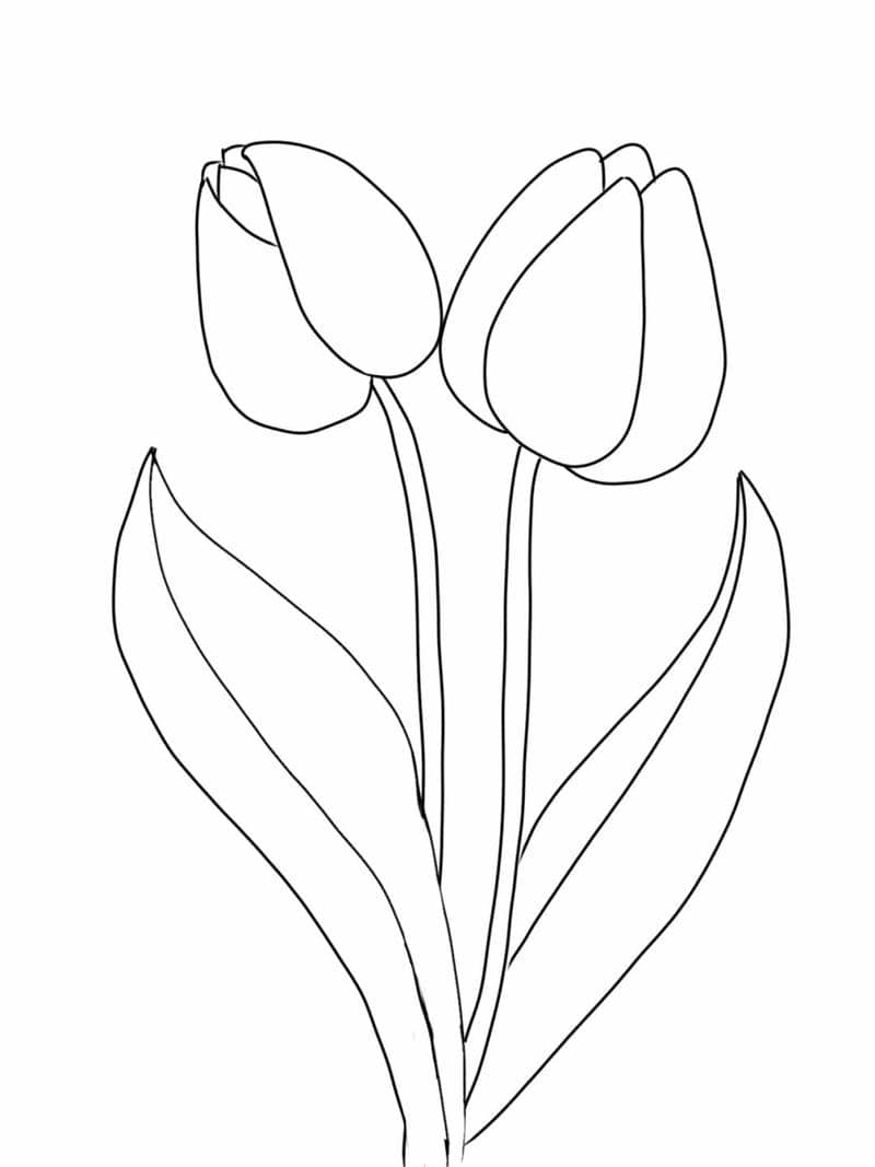 ภาพ ระบายสี ดอกไม้ อนุบาล
