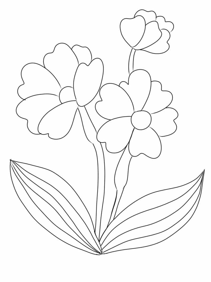 ภาพระบายสีดอกไม้อนุบาล-1