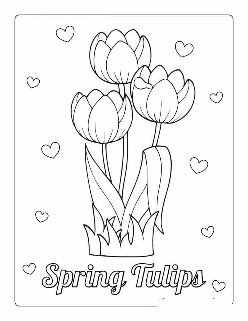 ลาย เส้น ภาพ ระบายสี ดอกไม้-1
